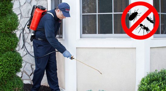 Yavuzeli Karınca İlaçlama böcek ilaçlama ve haşere kontrolü — ilaclama-tr.com